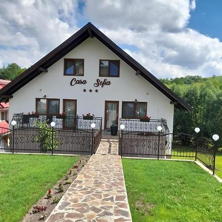 Casa Sofia Apartment Baltatesti Exterior photo