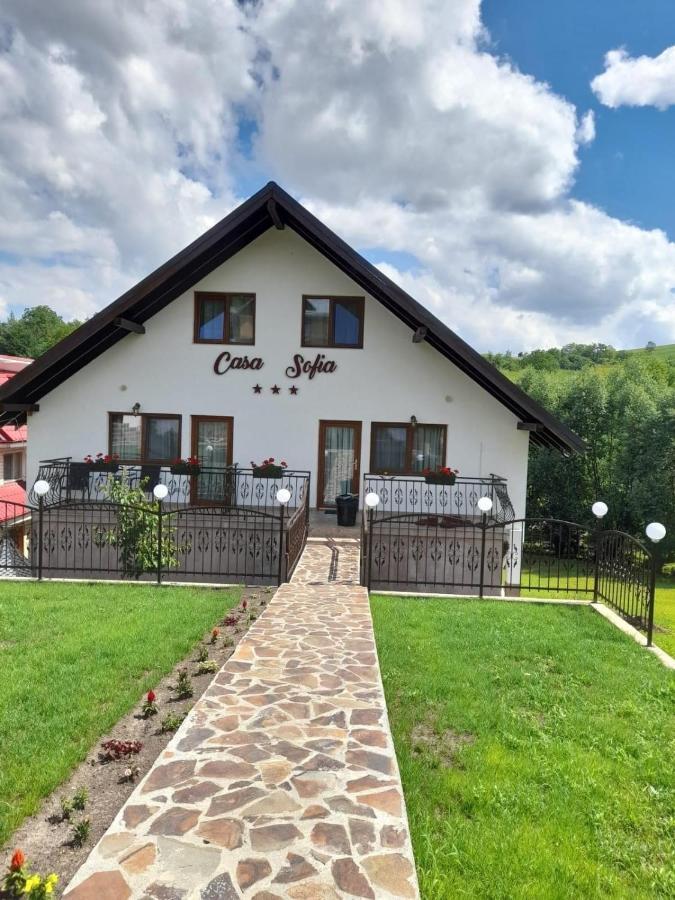 Casa Sofia Apartment Baltatesti Exterior photo
