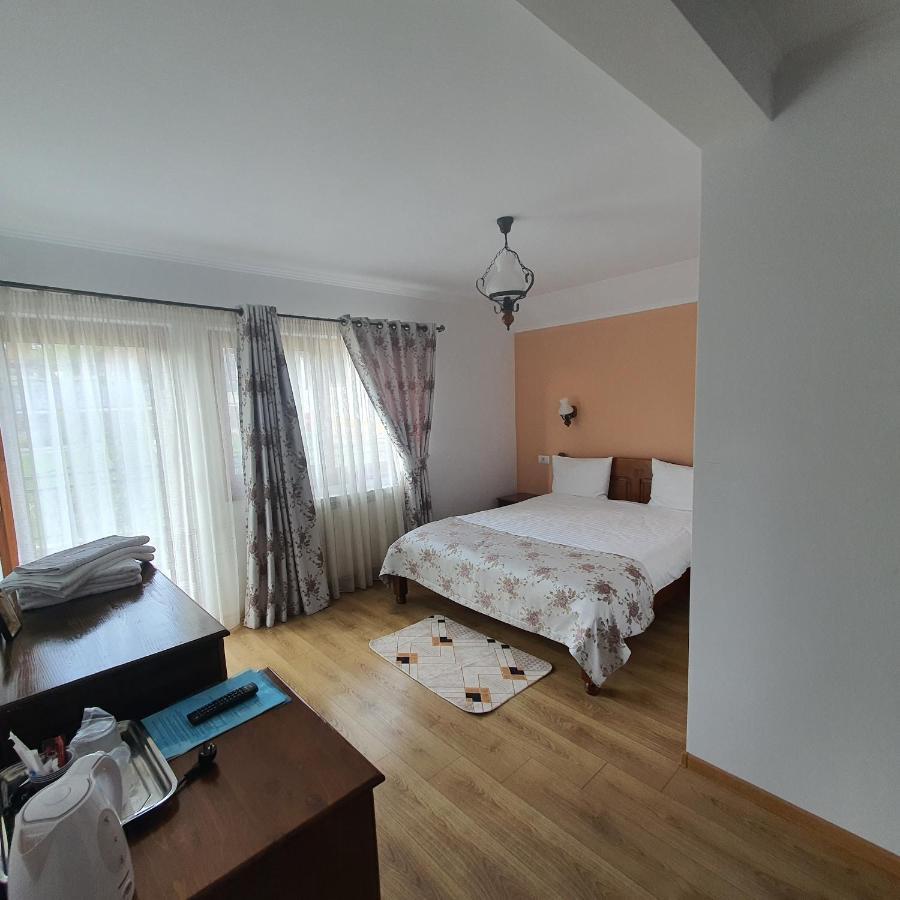 Casa Sofia Apartment Baltatesti Exterior photo